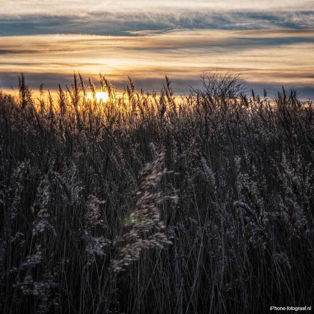 iPhone foto van een zonsondergang