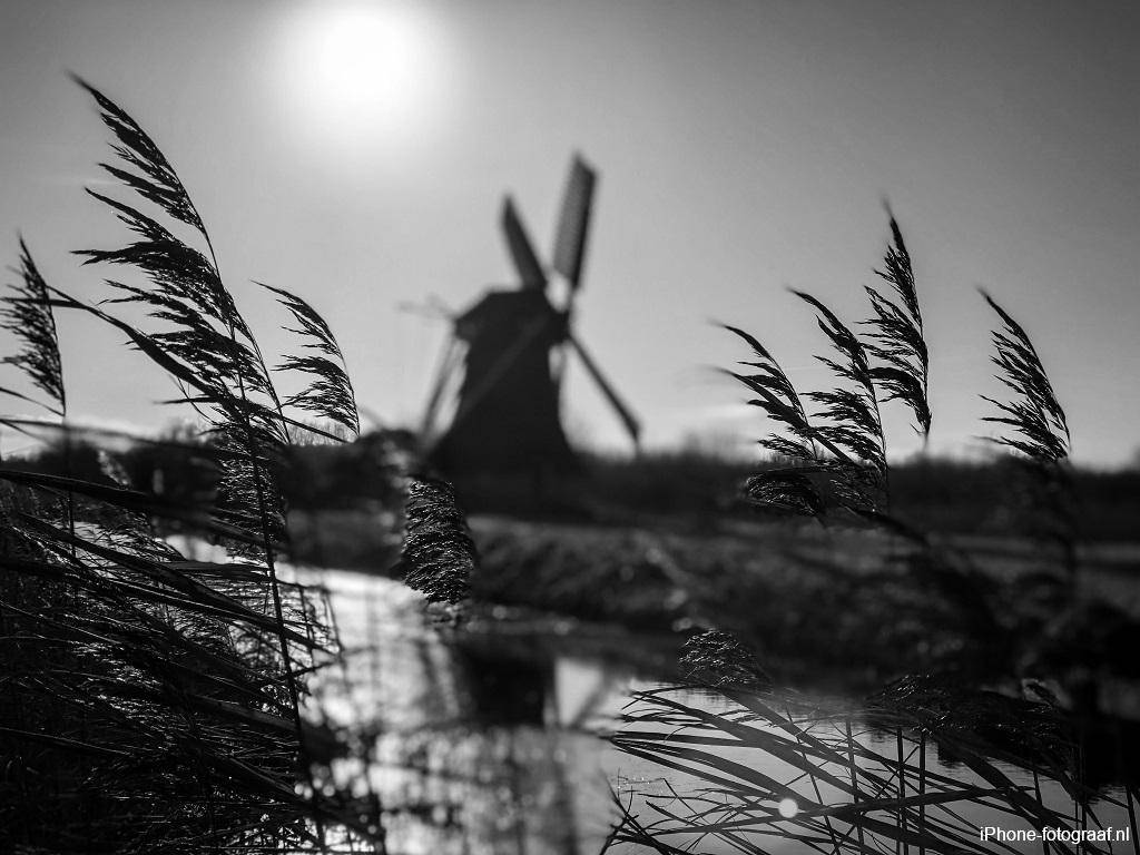 Windmill in black and white