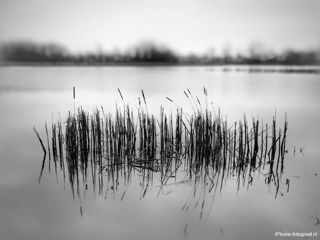 iPhone foto zwart-wit recreatiegebied Kardinge