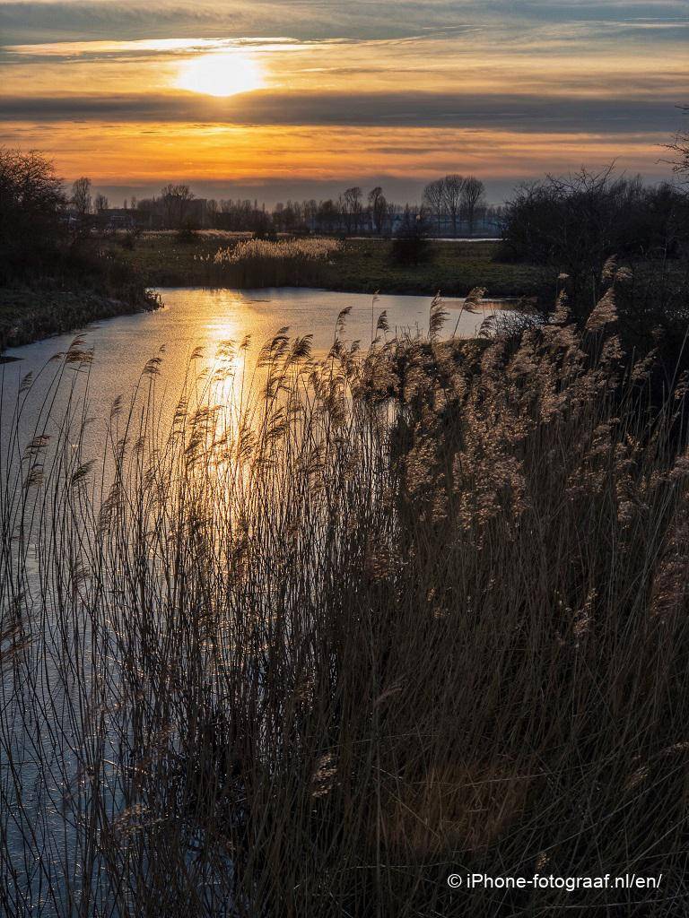 Lage zon in de avond