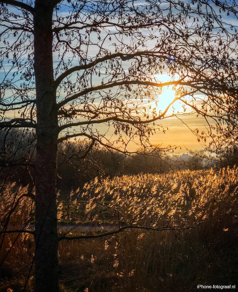 iPhone photo of a sunset