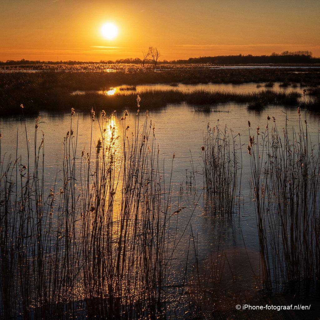 iPhone foto van een zonsondergang