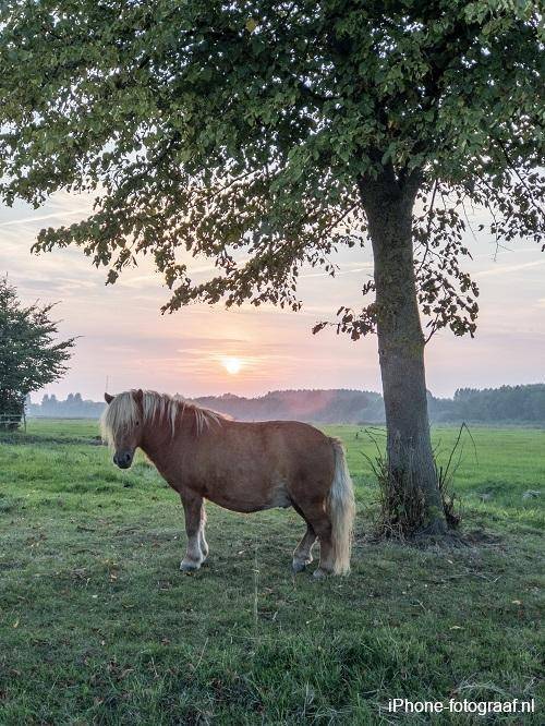 Vignettering toevoegen aan je foto's met Snapseed