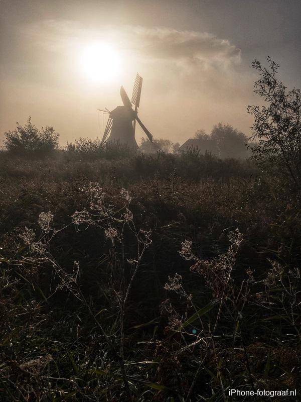 iPhone photo of a windmill in the fog. In the foreground you see cobwebs.