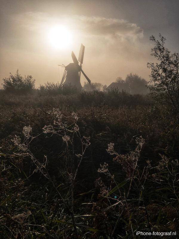 iPhone foto van een molen in de mist. Op de voorgrond zie je spinnenwebben.