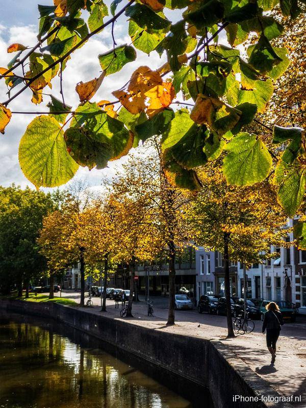 Een wandelaar is in de herfst gefotografeerd met een iPhone. Herfstbladeren op de voorgrond.