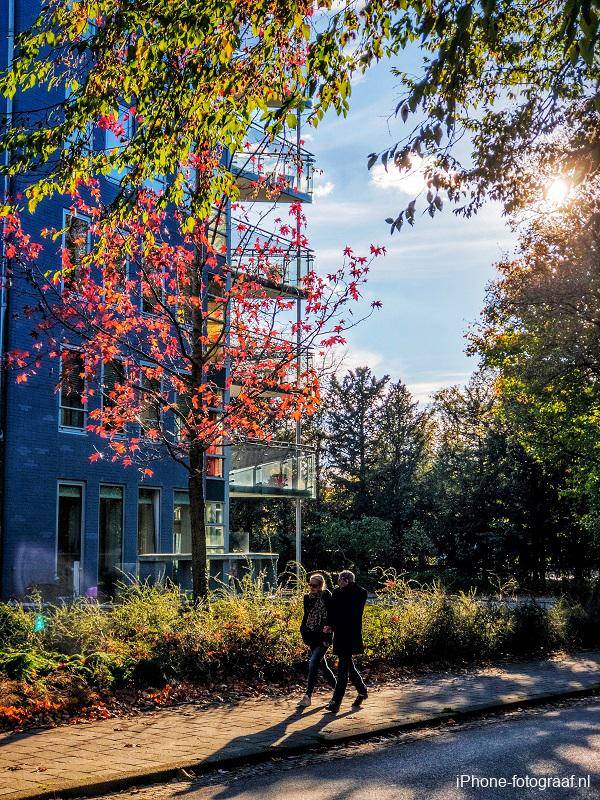 Wandelaars die in de herfst zijn gefotografeerd.