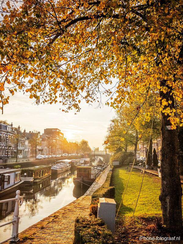 Deze herfstfoto van een gracht in Groningen is met een iPhone gemaakt. Op de foto staan bomen met gele bladeren.