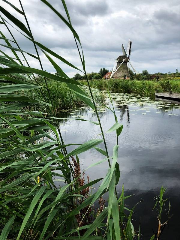 Een foto van een molen gefotografeerd met een iPhone. 