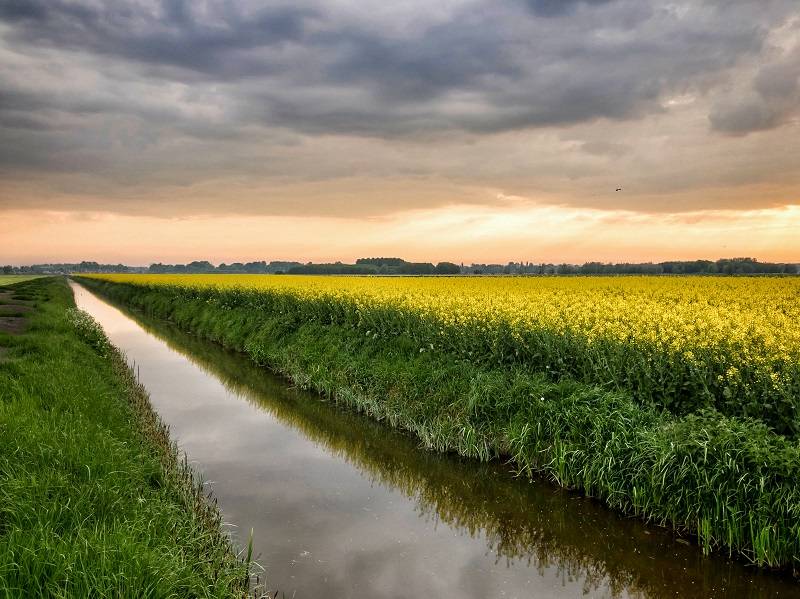 Landschappen fotograferen met je iPhone en leidende lijnen.