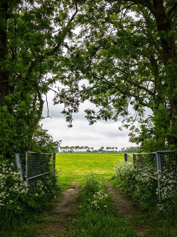 Landschappen fotograferen met je iPhone. Een voorbeeld van een kader.