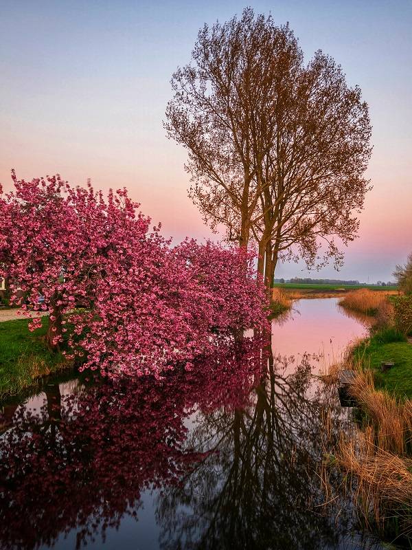 Landschappen met water en mooie reflecties fotograferen met je iPhone.