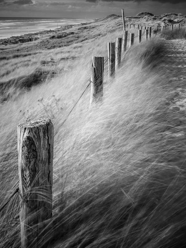 A black and white photo photographed with an iPhone. Sea, posts and marram grass. iPhone landscape photography