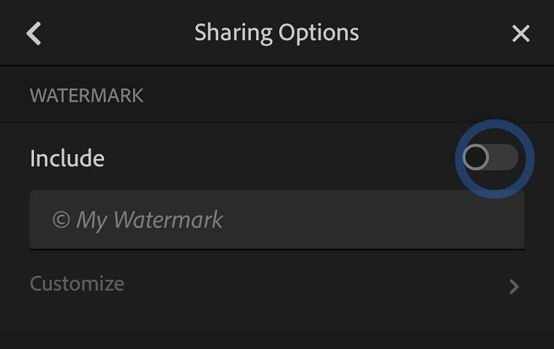 Add a watermark to your iPhone photos with Lightroom CC Mobile.