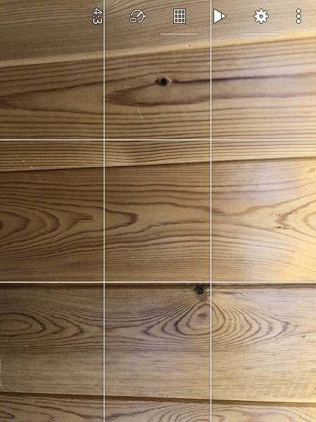 The grid for the rule of thirds.