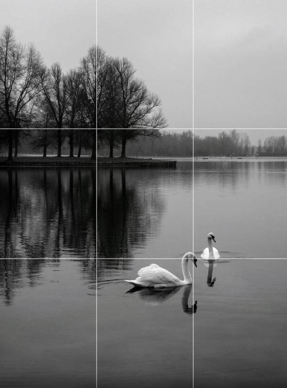 Composition tip the rule of thirds.