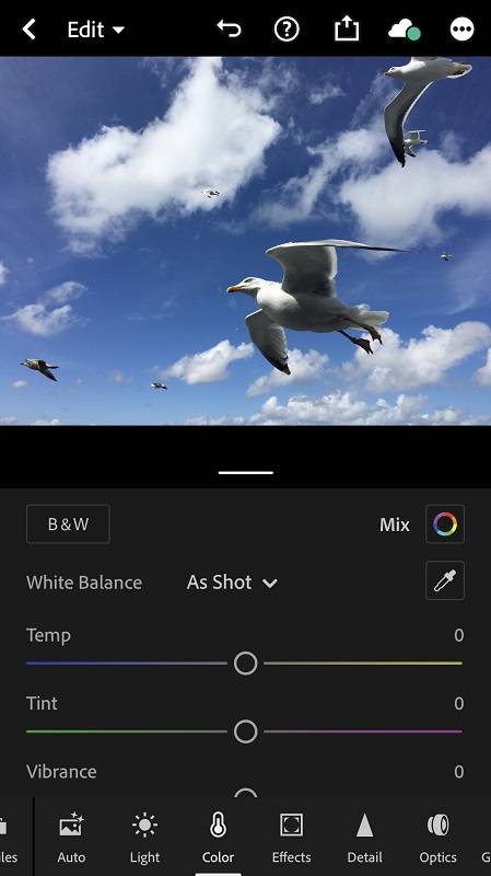 How to take black and white photos on iPhone - iPhone photography