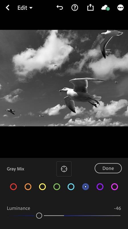 Gray values in Lightroom CC mobile. How to take a black and white photo.